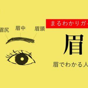 眉 運勢|眉でわかる人相！眉の形や特徴ごとの性格【観相学】